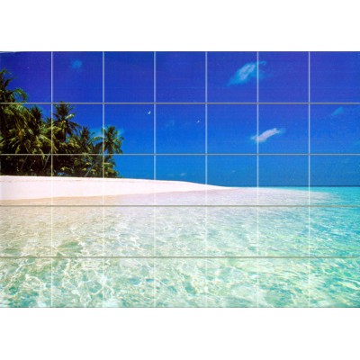 Art Mural Ceramic Backsplash Palm Beach Ocean Tile #360   230609173470